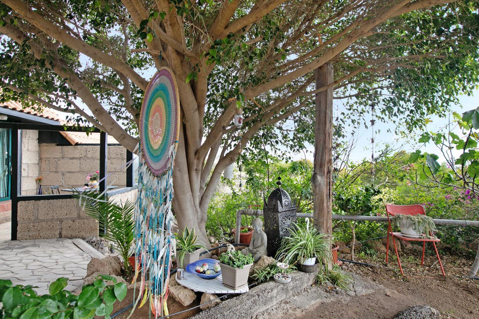 Casa Munay Granadilla De Abona Exterior photo